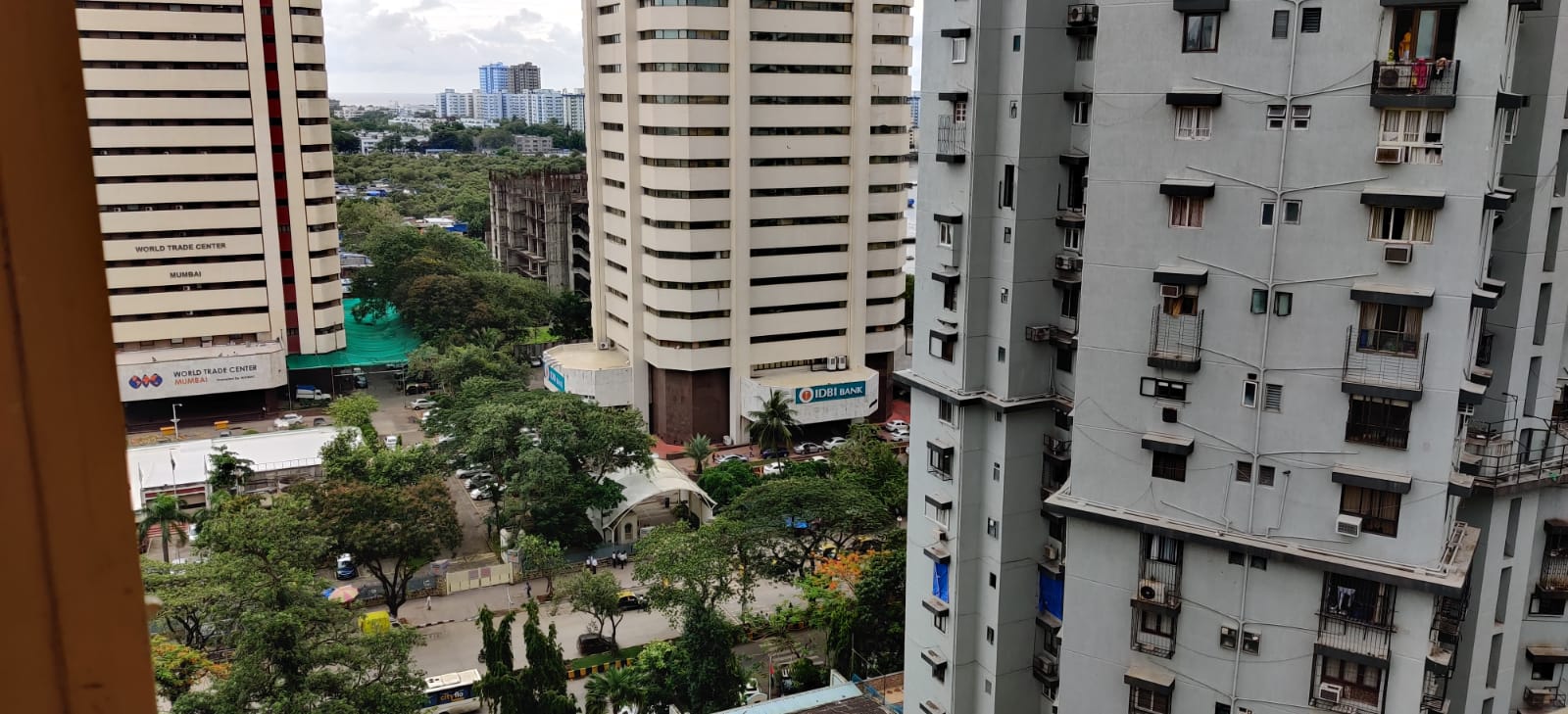 11 - Sunflower, Cuffe Parade