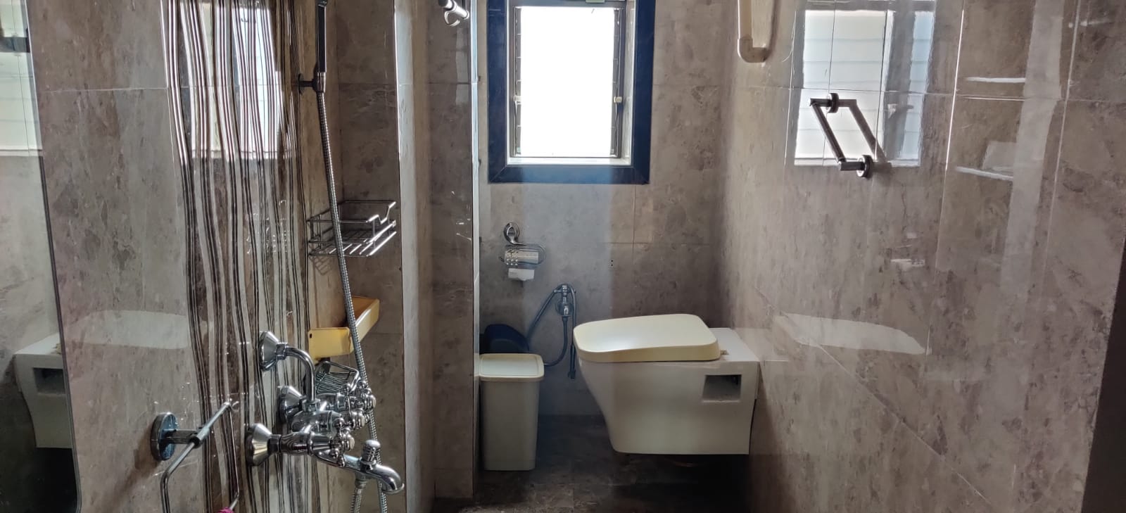 13 - Sunflower, Cuffe Parade