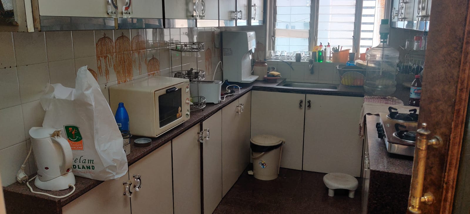 14 - Sunflower, Cuffe Parade