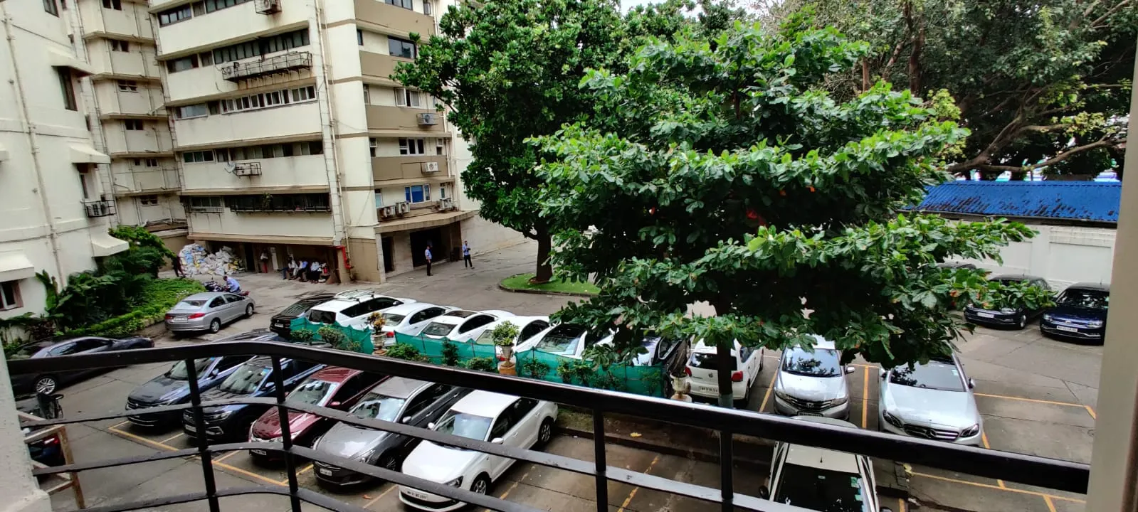 3½ BHK Flats on Rent in Breach Candy House, Breach Candy