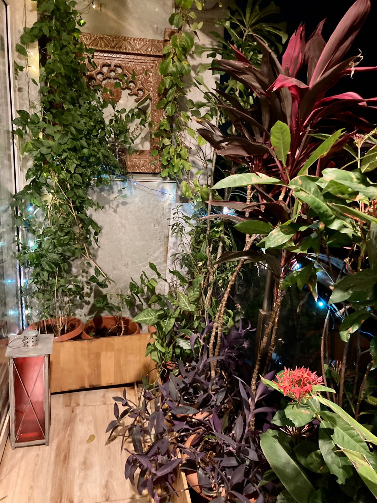 3 BHK Flats on Rent in Bhagtani Krishaang, Andheri West