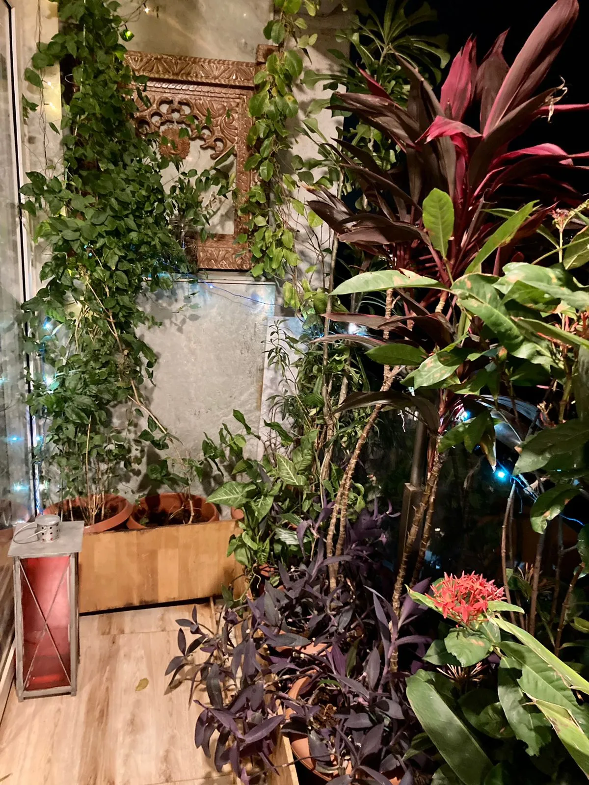 3 BHK Flats on Rent in Bhagtani Krishaang, Andheri West