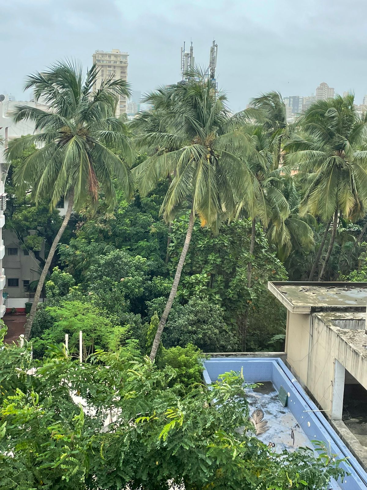 3 BHK Furnished in Rashmi Building , Bandra West
