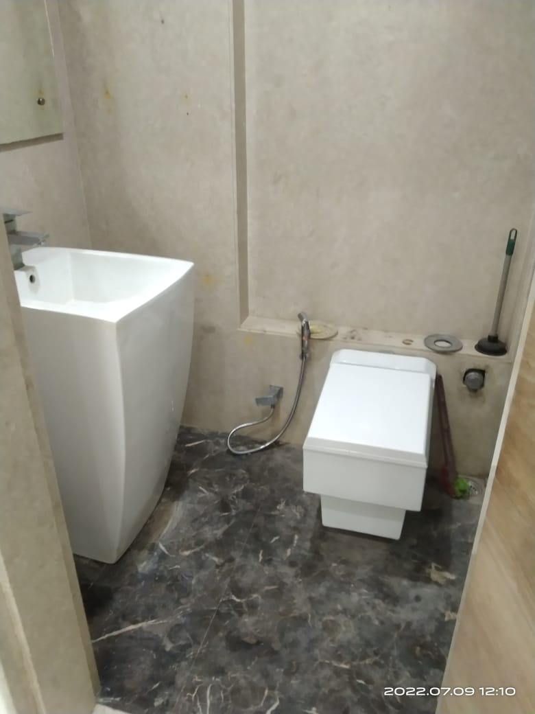 11 - Daffodils, Juhu