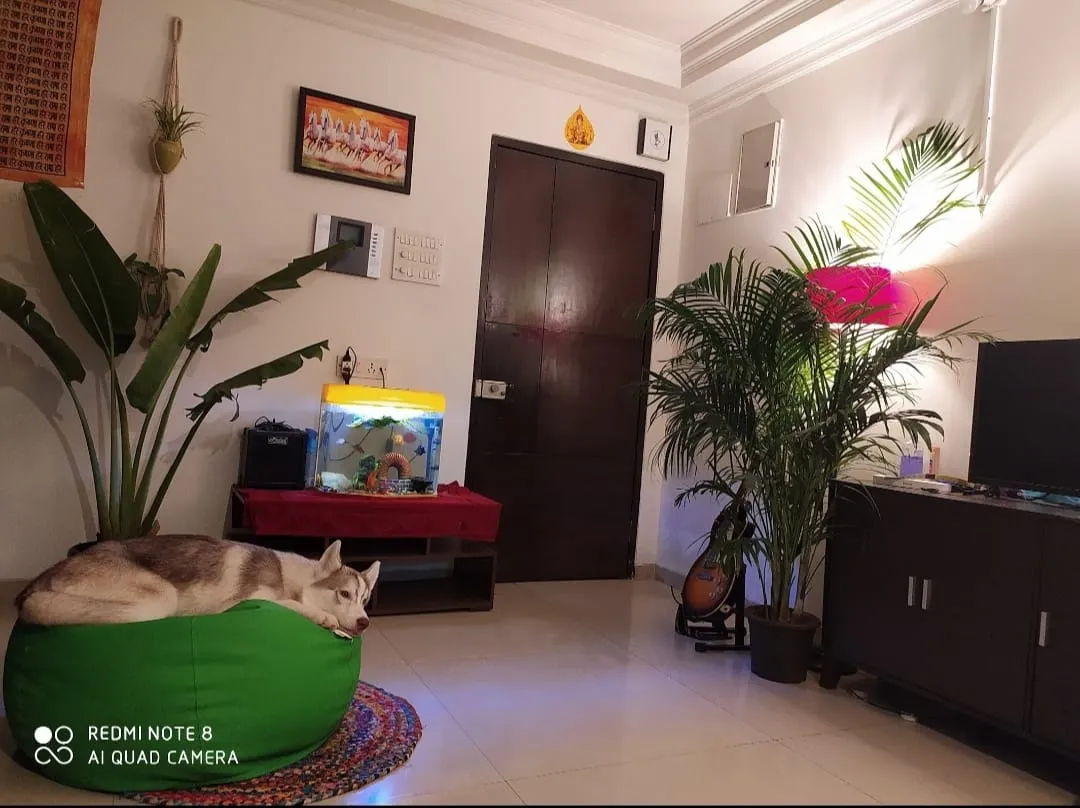 1 BHK Flats on Rent in Jai Shankar Deep, Khar West