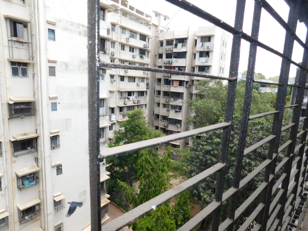 1 BHK Flats on Rent in Andheri Gulmohur CHS, Andheri West