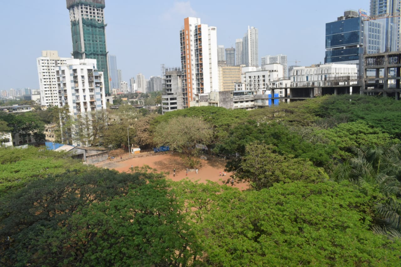 8 - Mittal Aristo, Parel