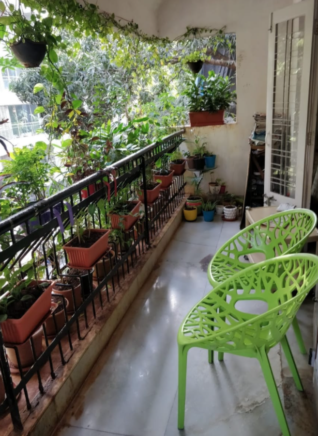 4 - Palacimo, Santacruz West