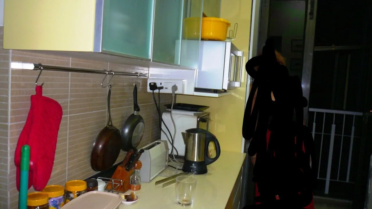 3 BHK Flats on Rent in Lodha Aria, Parel