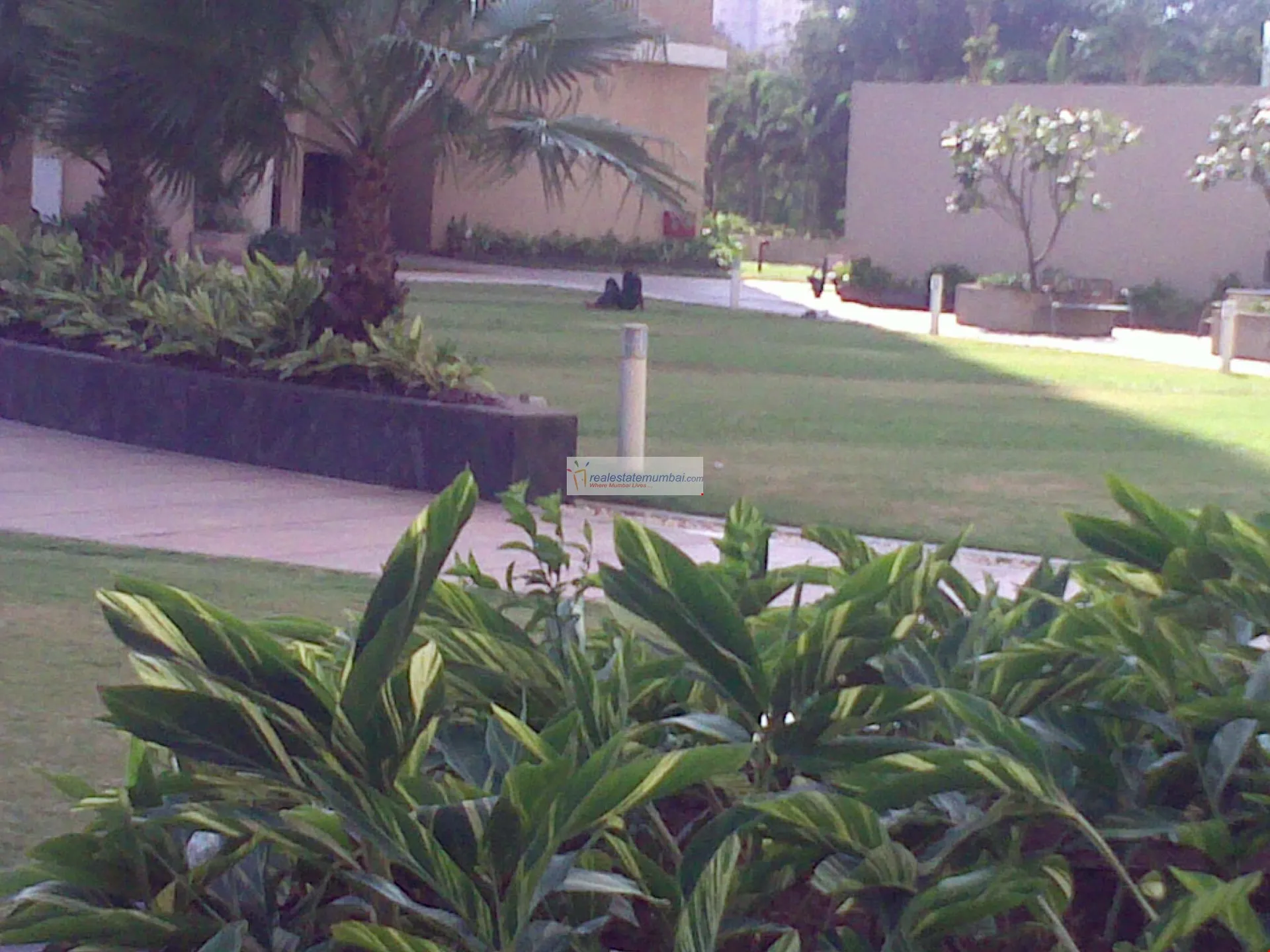 3½ BHK Flats on Rent in Kalpataru Horizon, Worli