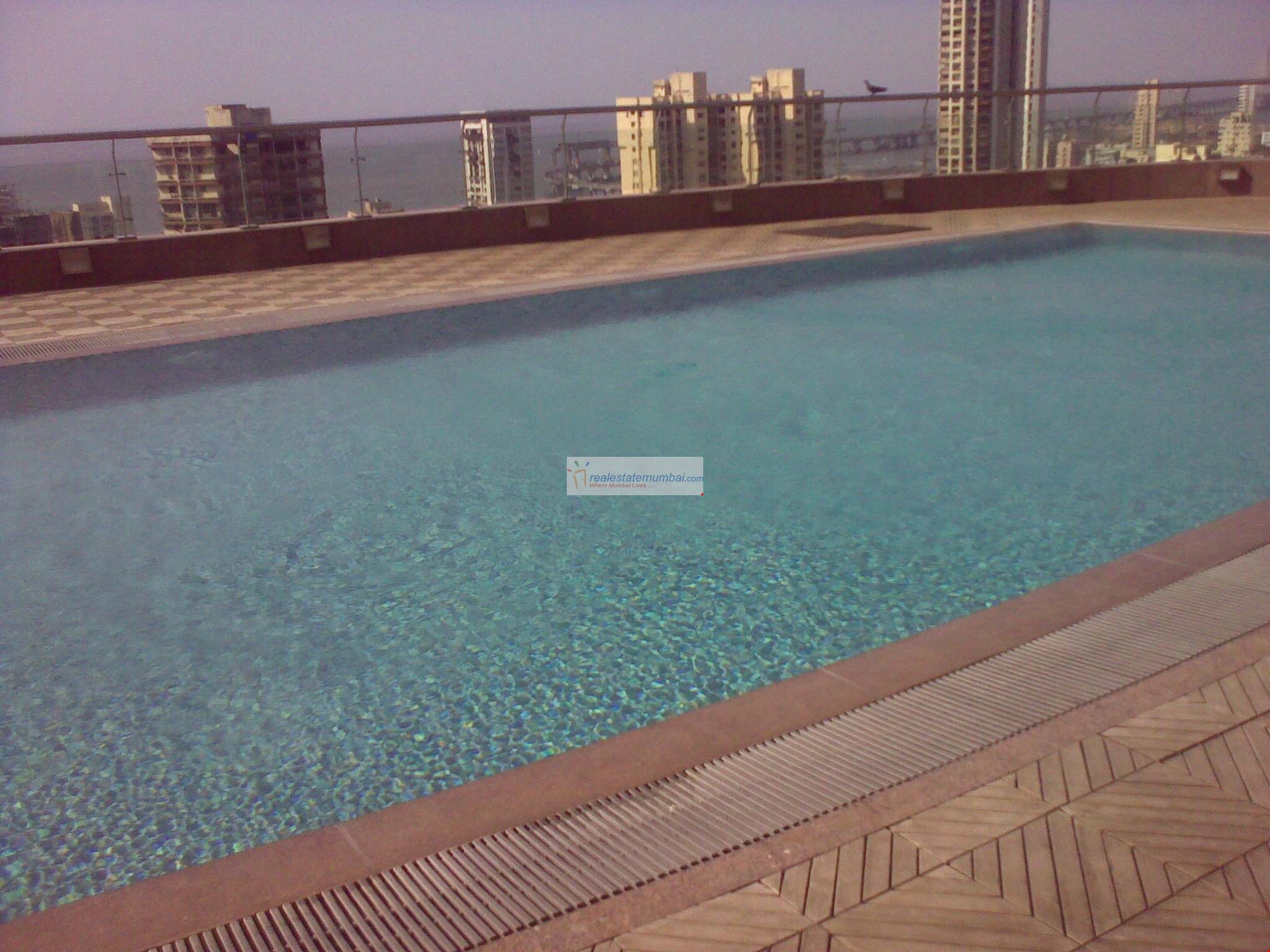 Swimming Pool - Kalpataru Horizon, Worli