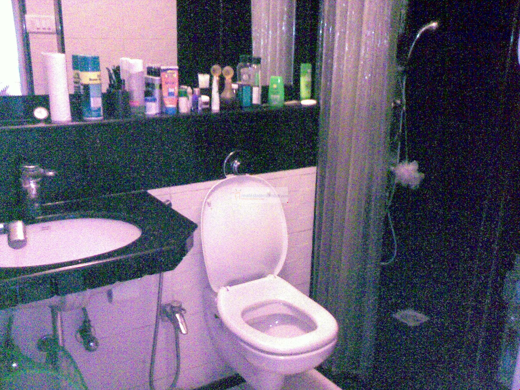 Master Bathroom - June Blossoms, Bandra West