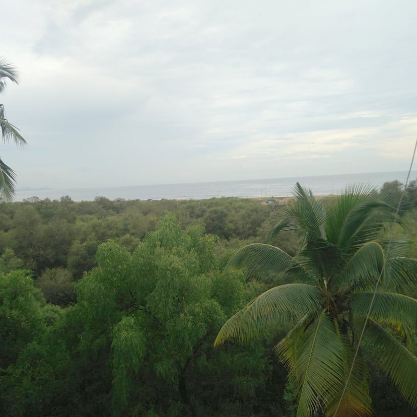 View - Magnum Opus, Andheri West