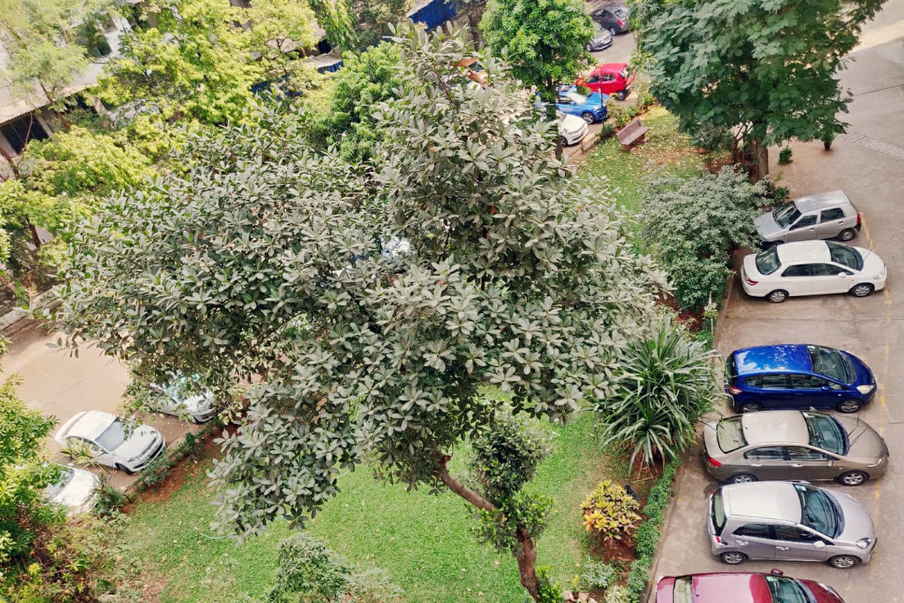 Building7 - Jagat Vidya, Bandra East