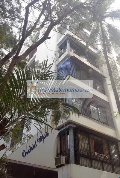 3 BHK Flats on Rent in White Orchid, Khar West