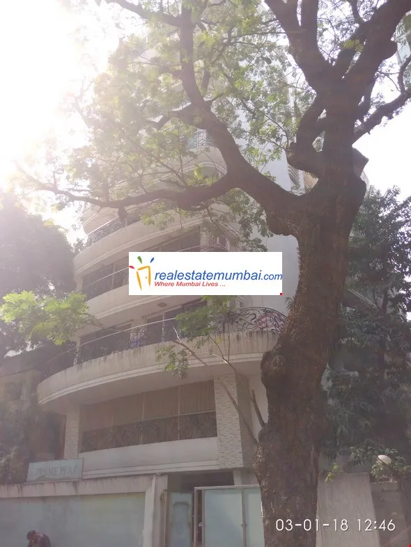 3 BHK Flats on Rent in Supreme Pearl, Khar West