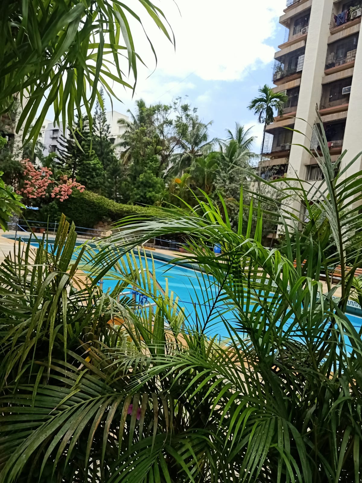 10 - Indradarshan, Andheri West