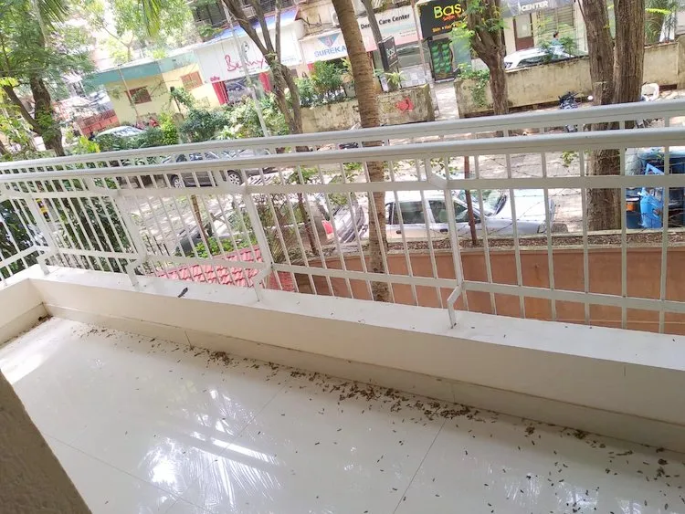 3 BHK Flats on Rent in Rashmi B-7, Juhu