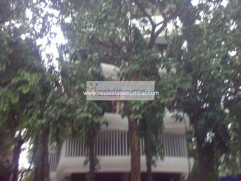 Building - Om Sadan, Bandra West