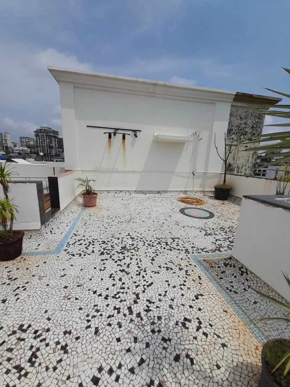 13.webp — photo 14