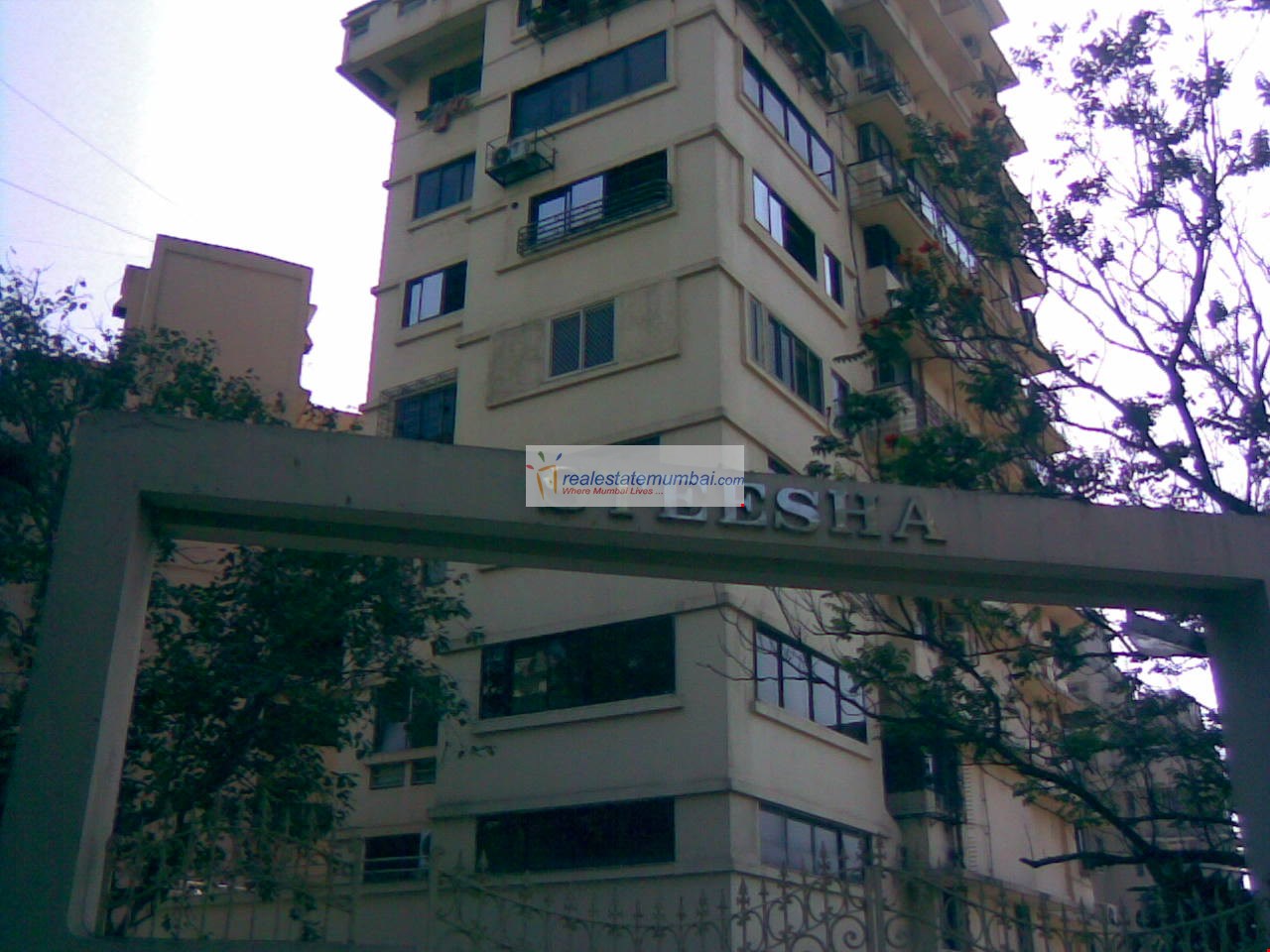 Steesha, Bandra West