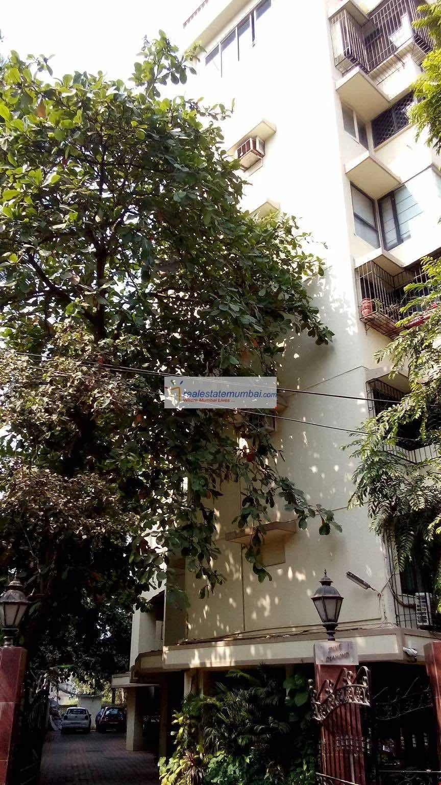 2 BHK Flats on Rent in Blue Diamond, Bandra West