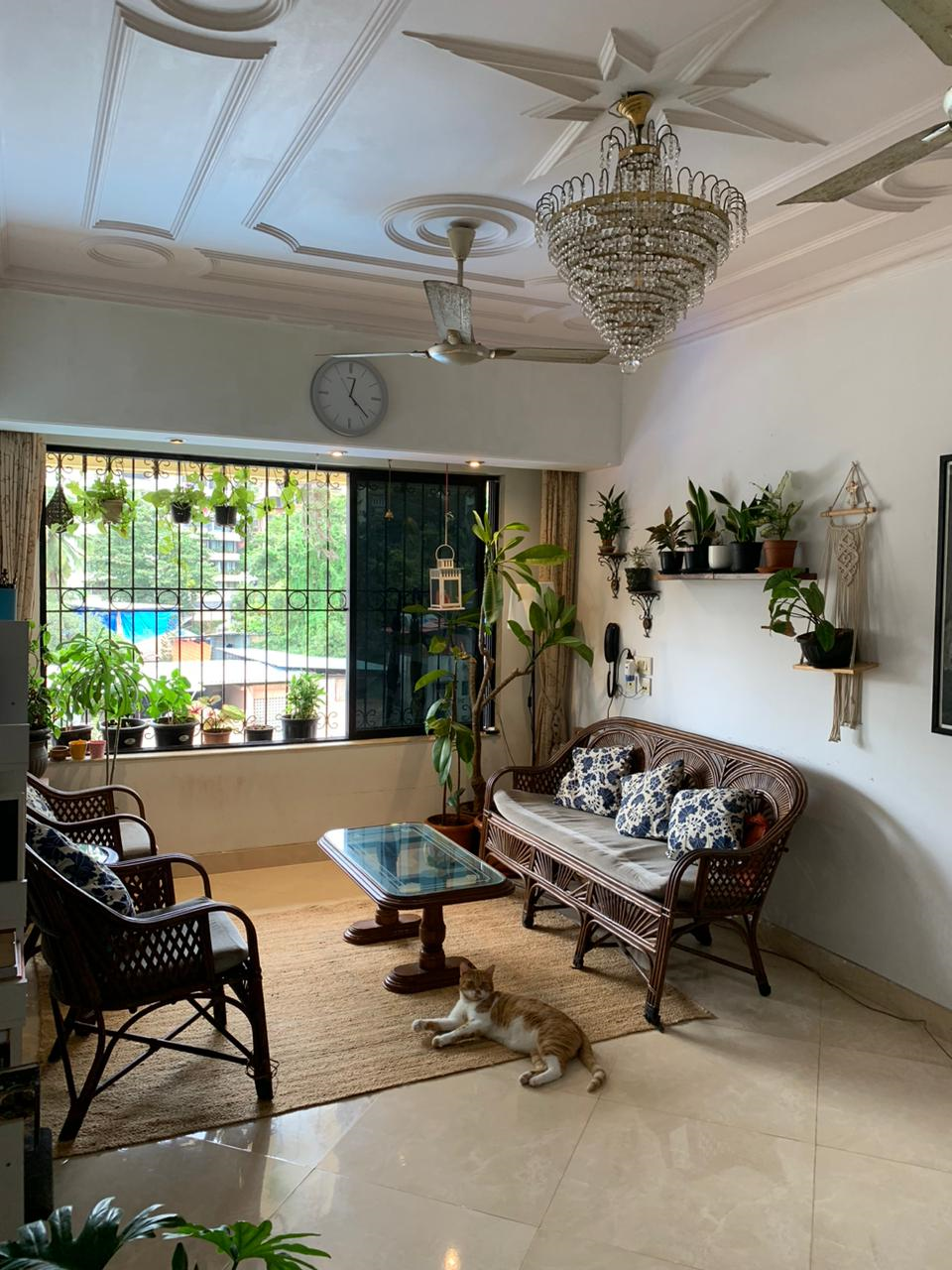 2 BHK Flats for Sale in Yellow Rose, Bandra West