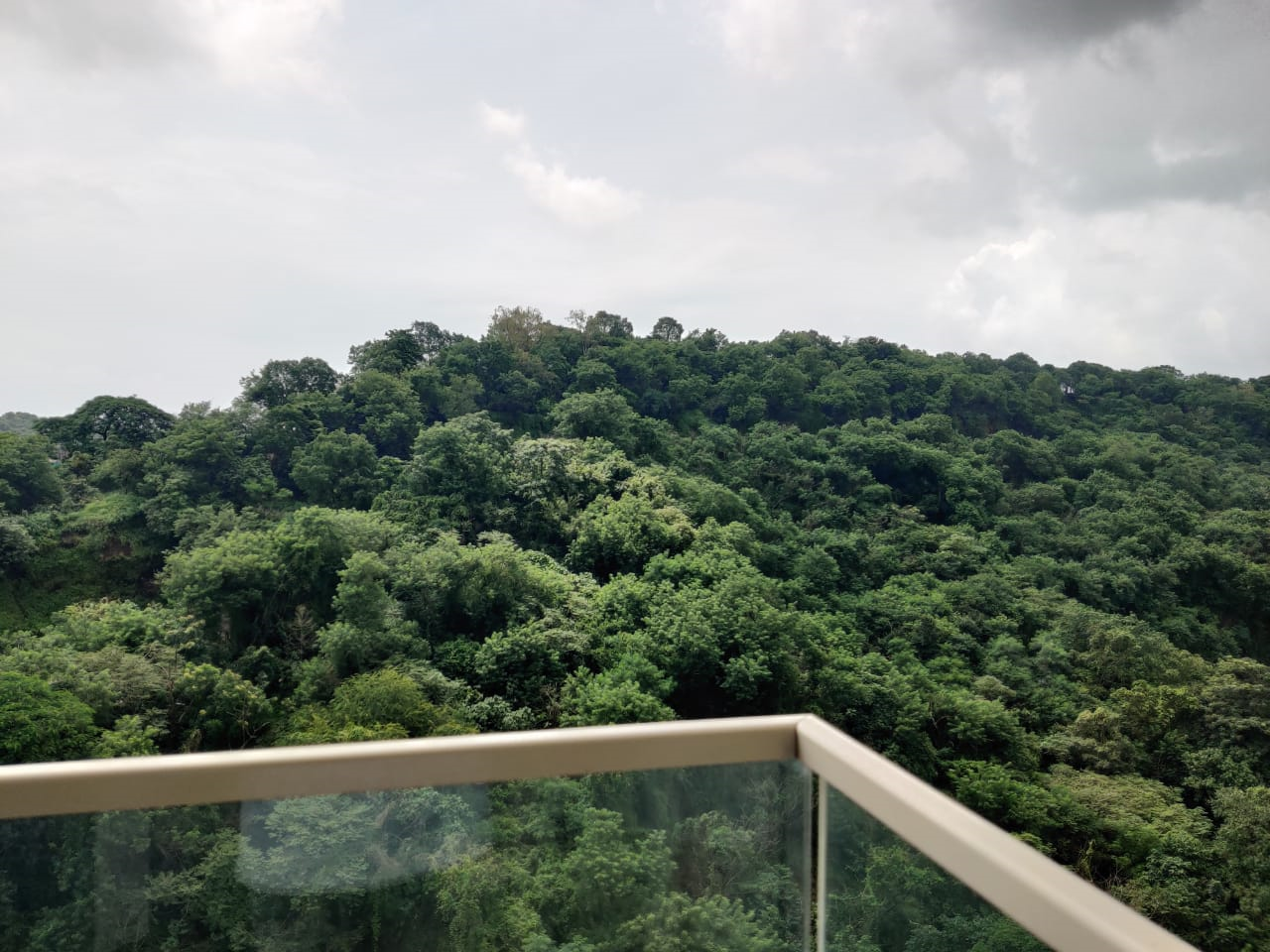 2 BHK Flats on Rent in Castle Rock, Powai