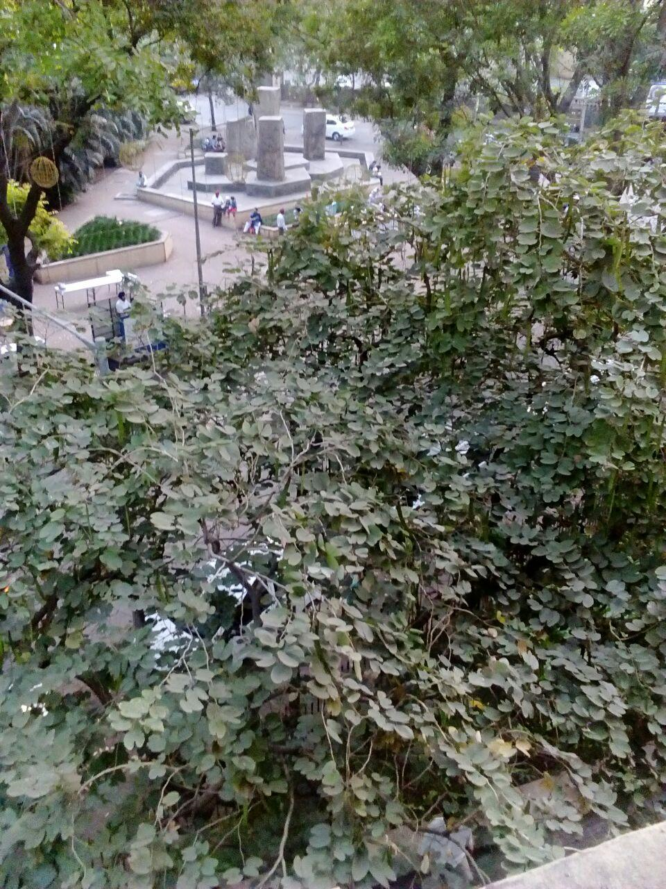 10 - Glen Gate, Powai