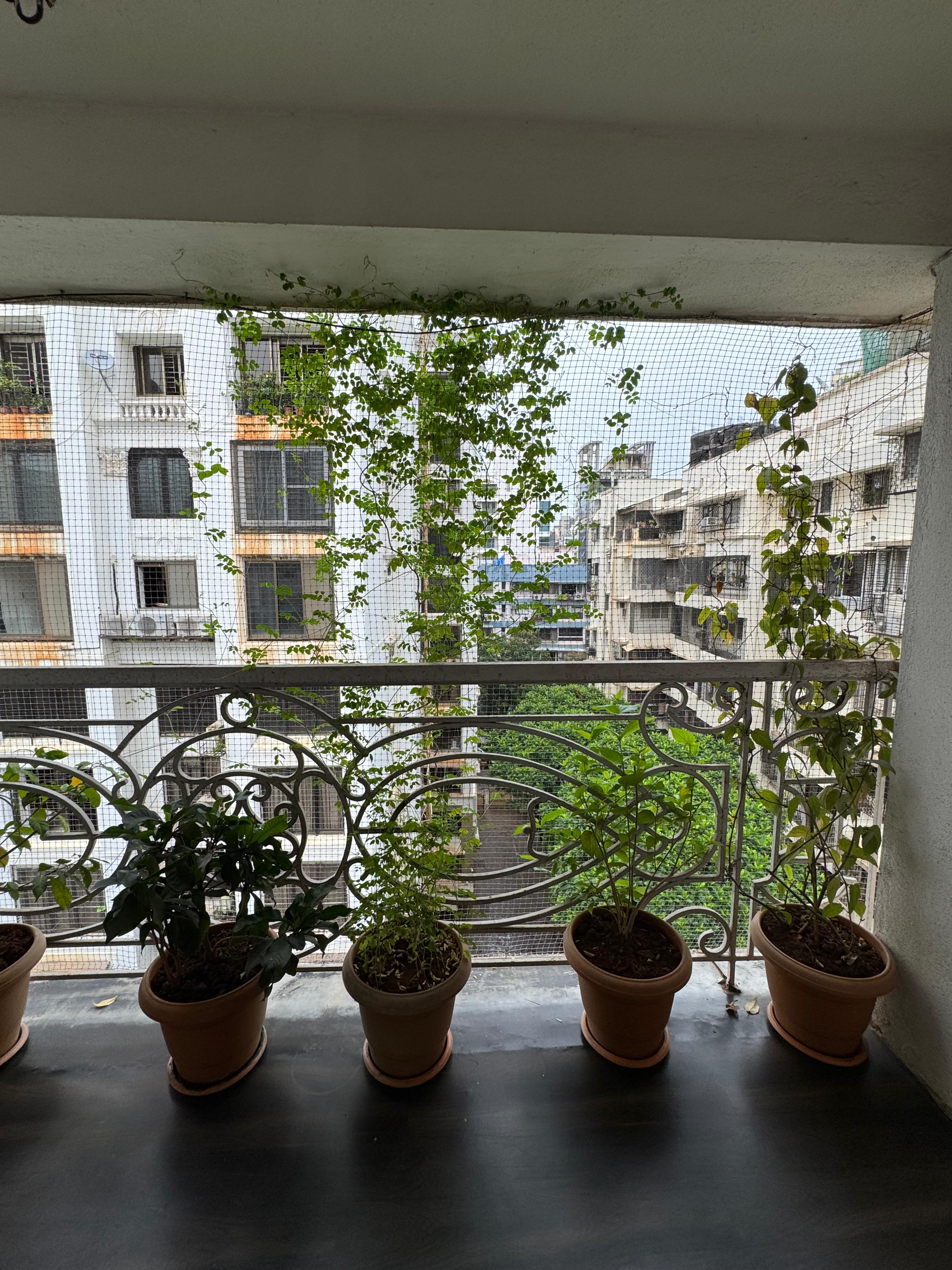20 - Therese Ville Dawn, Bandra West