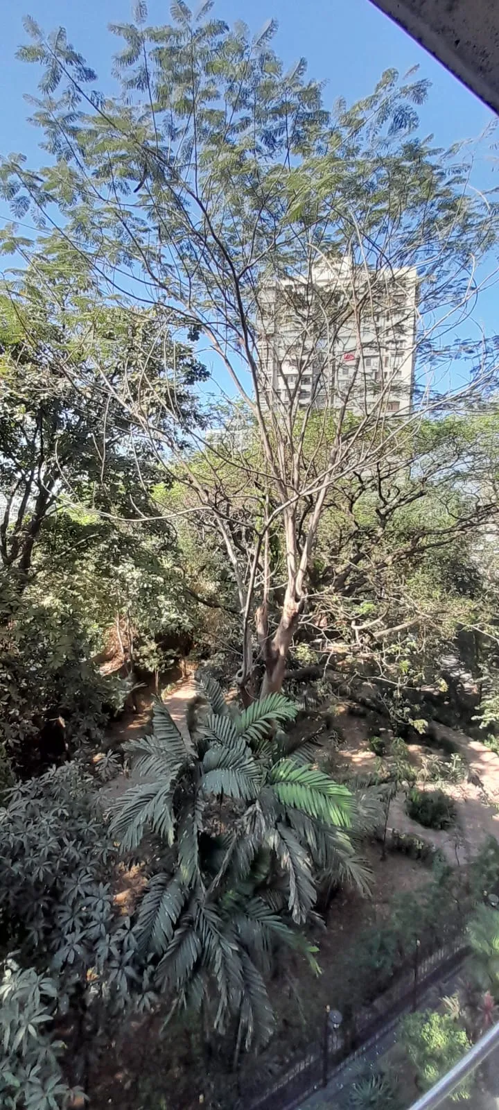 2 BHK Flats on Rent in Belscot Chs, Andheri West