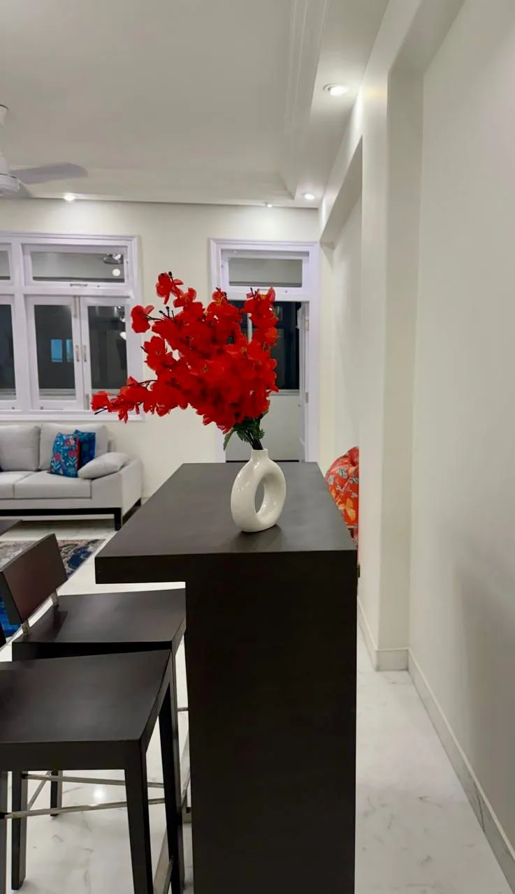 2 BHK Flats on Rent in Kailash Mahal, Peddar Road