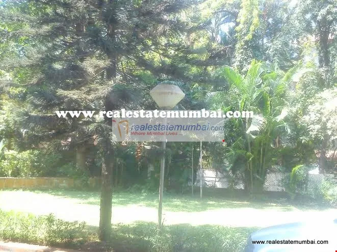 2 BHK Flats on Rent in Archana, Andheri West